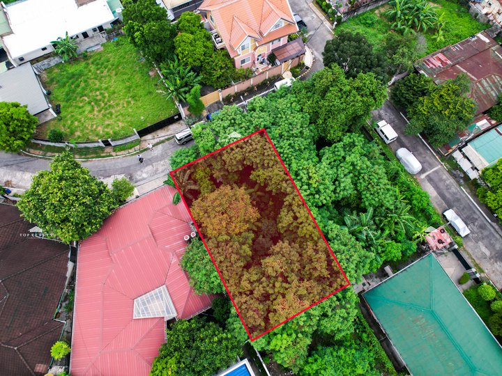 350 sqm Residential Lot for Sale in Marcelo Green Village, Paranaque City