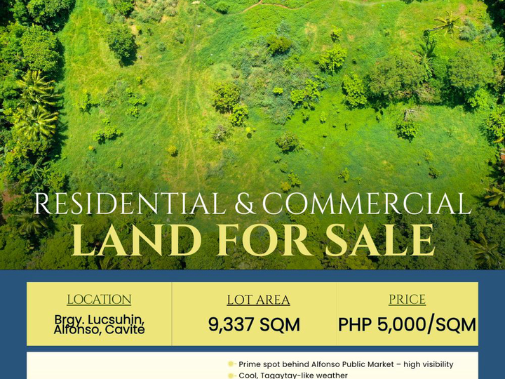 9,337 sqm Lot for Sale in Luksuhin Alfonso, Cavite Only 5,000/sqm!