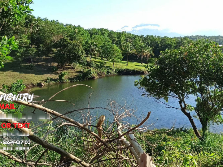 FOR SALE LAKEVIEW FARMLOT BRGY. PAOWIN CAVINTI LAGUNA [Lot 🚜] (April