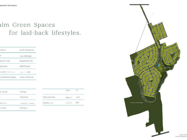 For Sale: 343 sqm Residential Lot in South Palmgrove in Lipa, Batangas, Pre-selling