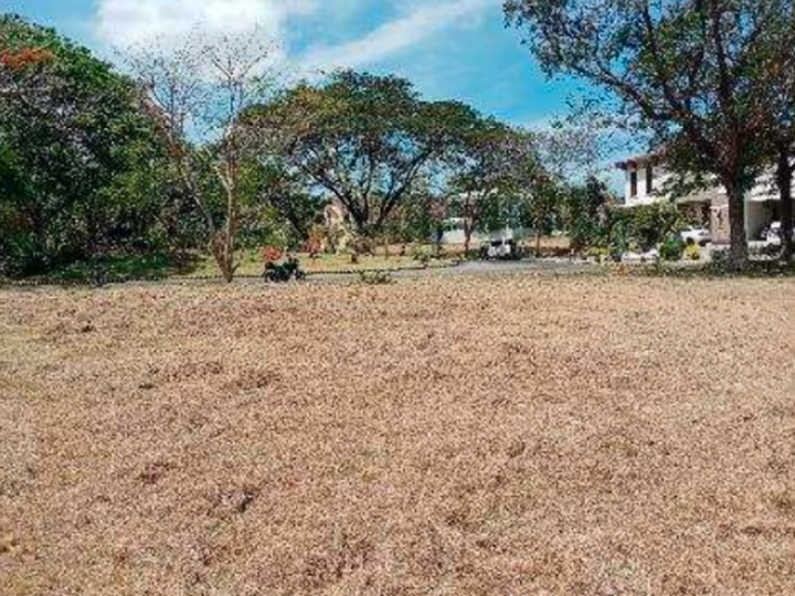 Residential Lot For Sale in San Pedro Laguna [Lot 🚜] (June 2023) in San