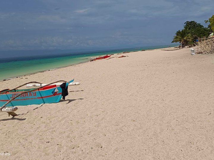 Pre-selling 100 sqm Beach Property For Sale in Moalboal Cebu