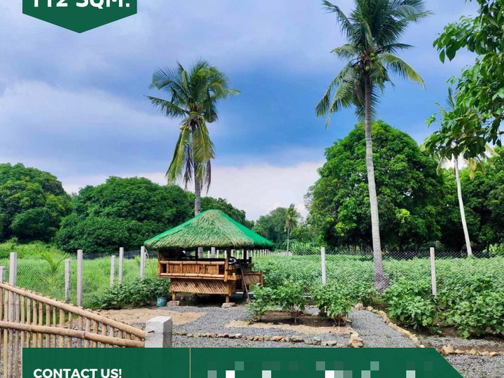 800 sqm Residential Farm Lot for Sale in San Juan Batangas