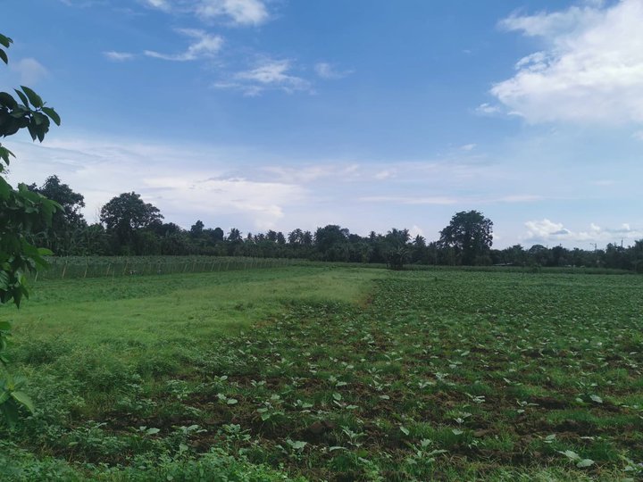 Farmland is a good source of income with high return of investment.