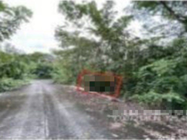 Foreclosed 312 sqm Residential Lot For Sale in Davao City - VILLA DE MERCEDES PHASE 2