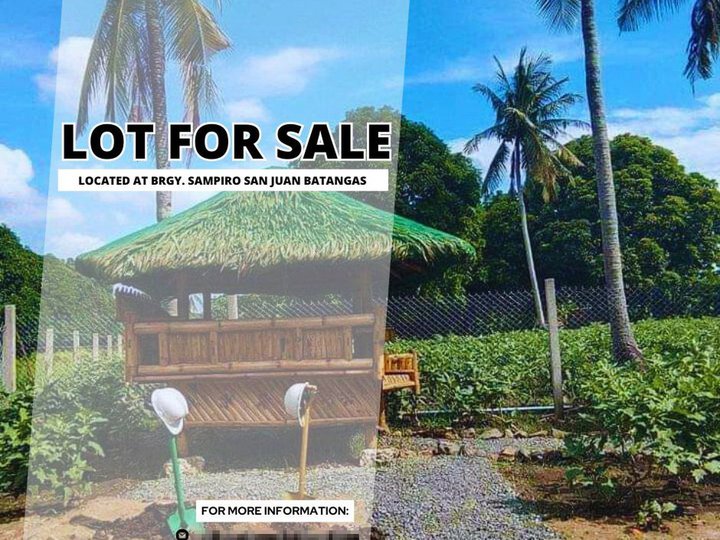 150 sqm Residential Farm For Sale in San Juan Batangas