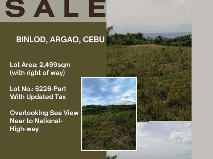 Lot for Sale in Binlod, Argao, Cebu