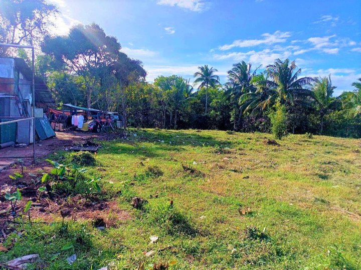 Very Affordable 298 sqm Residential Farm For Sale in Mendez Cavite