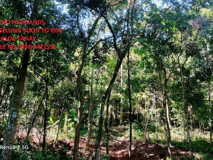 500 sqm Residential Lot For Sale in Tanay Rizal