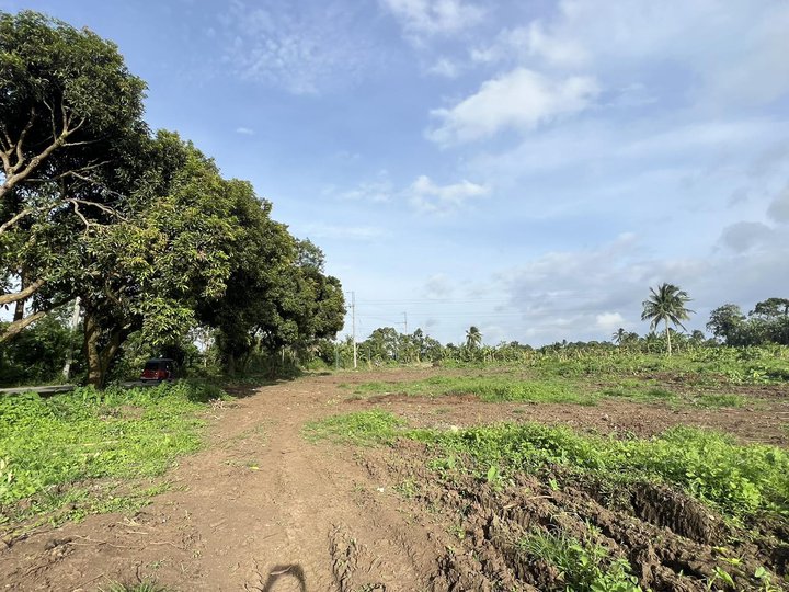 Alfonso Residential Farm Lot for sale near Tagaytay