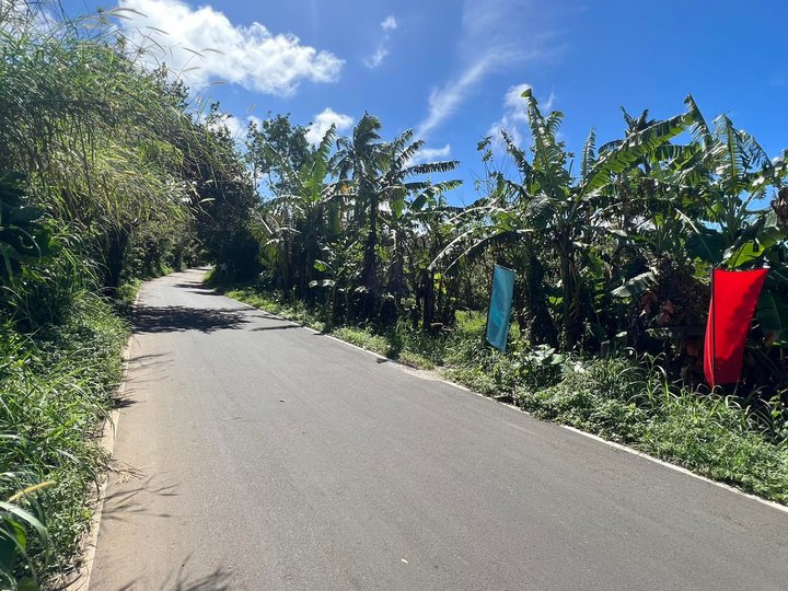 INSTALLMENT FARM LOT FOR SALE IN ALFONSO NEAR TAGAYTAY [Lot 🚜] (January