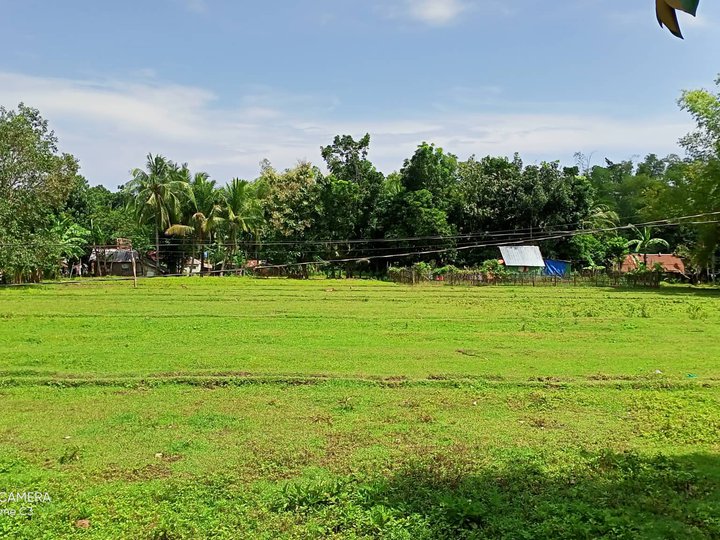 1,000 sqm Residential Farm For Sale in Patnongon Antique