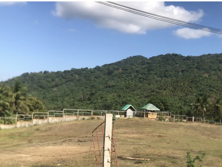 Residential Farm nearby Mt Makiling and Ayala Golf force