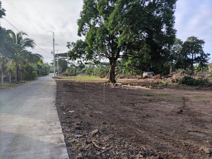 500Sqm. AFFORDABLE FARM LOT SA INDANG CAVITE