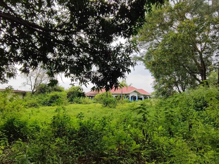 50000 sqm Residential Farm For Sale in Bacolor Pampanga