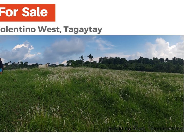 LOT FOR SALE IN TAGAYTAY TOLENTINO WEST