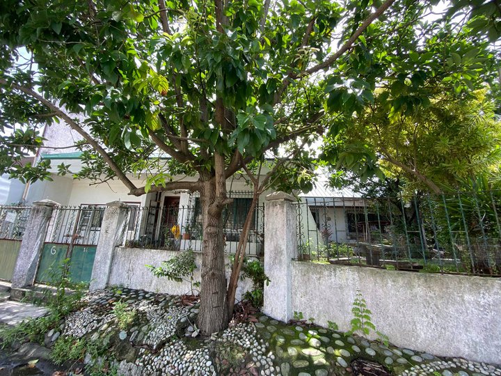 349sqm Old Bungalow For Sale in BF Homes Paranaque