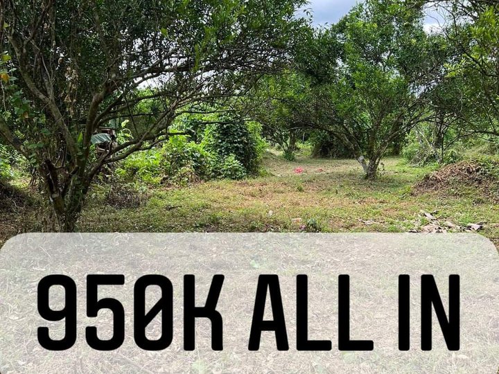 Sinturisan Farm San Francisco Tiaong Quezon [Lot 🚜] (October 2022) in