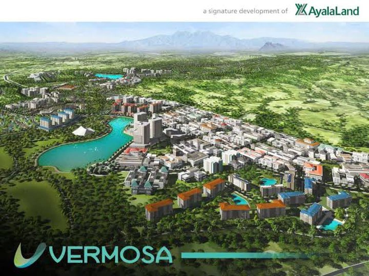 250 sqm Residential Lot For Sale in Vermosa  - Alveo Ayala Land