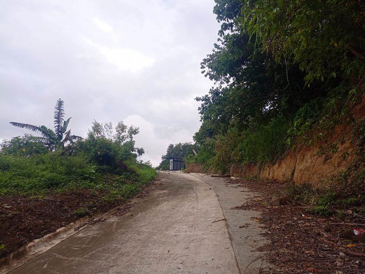 Agricultural lot with mountain view for sale near Tagaytay