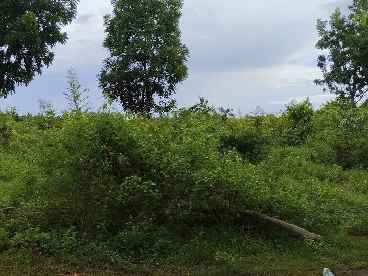 Lot for Sale in Santa Fe