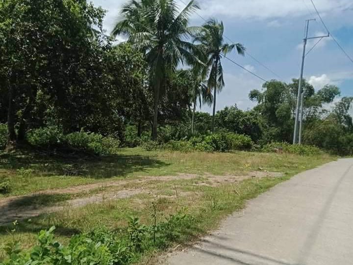1 Hectare Land for Sale Clean Title Magallanes Cavite