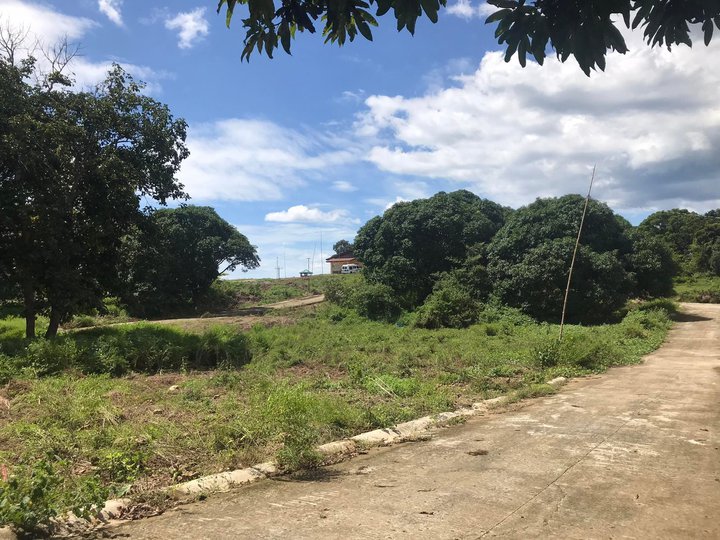 Residential Lot for Sale at Calatagan Batangas