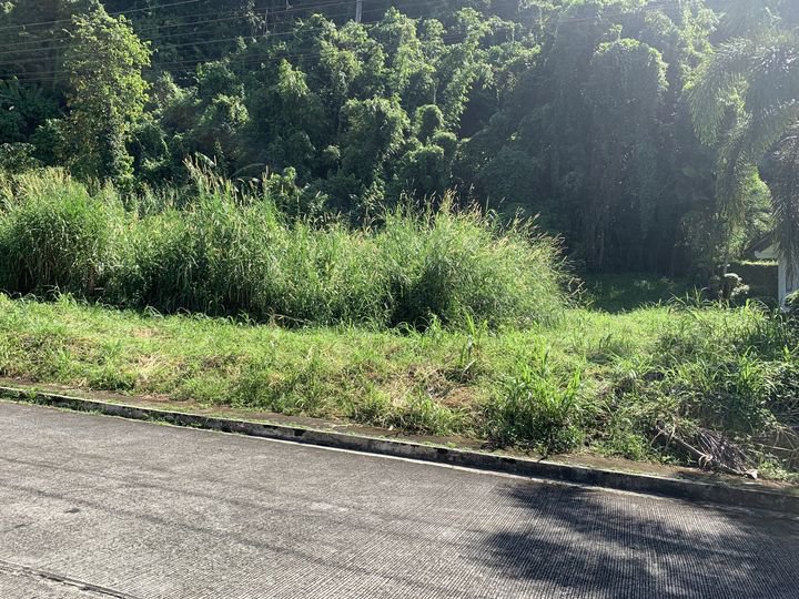 386 sqm Residential Lot For Sale in Antipolo Rizal