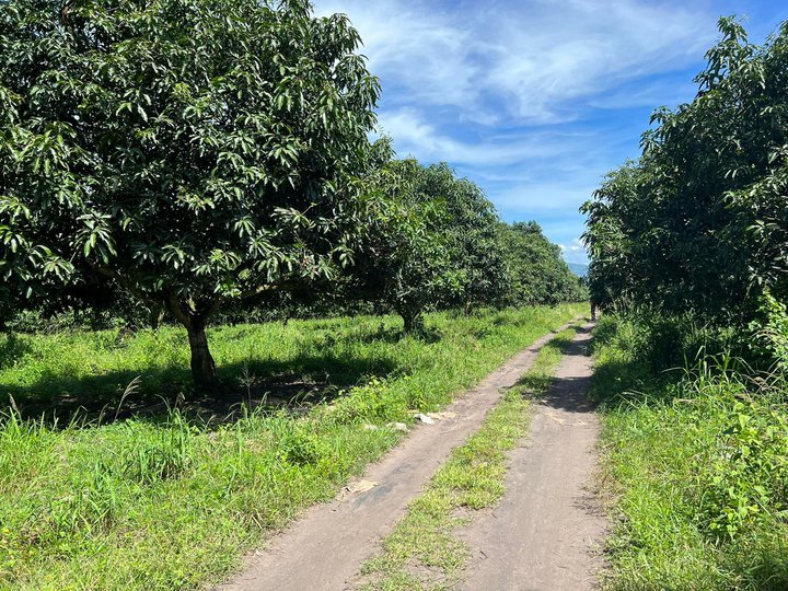 4 Hectares Farm Lot For Sale in Sinawal General Santos!