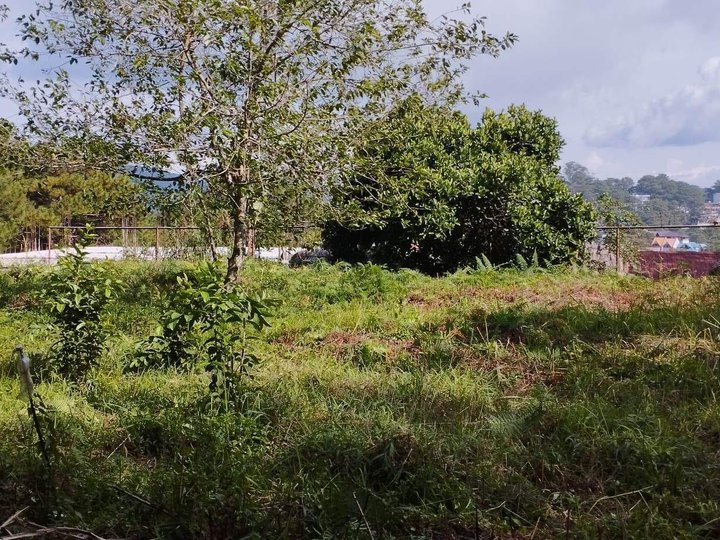 100 sqm Residential Lot For Sale in Baguio Benguet