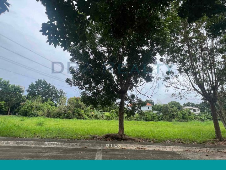 317 sqm Residential Lot For Sale in Southwoods