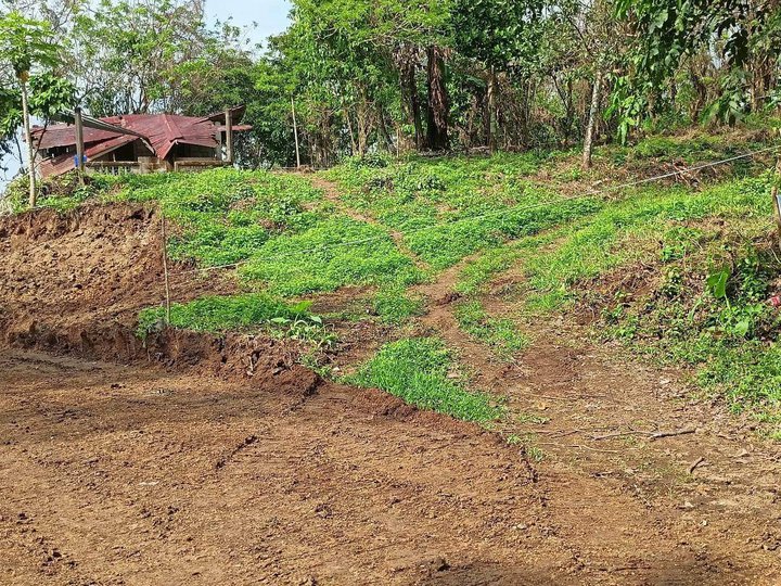 Installment Private Farm Lot Near Tagaytay City