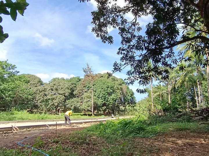 300 sqm Residential Farm lot for Sale in Indang Cavite