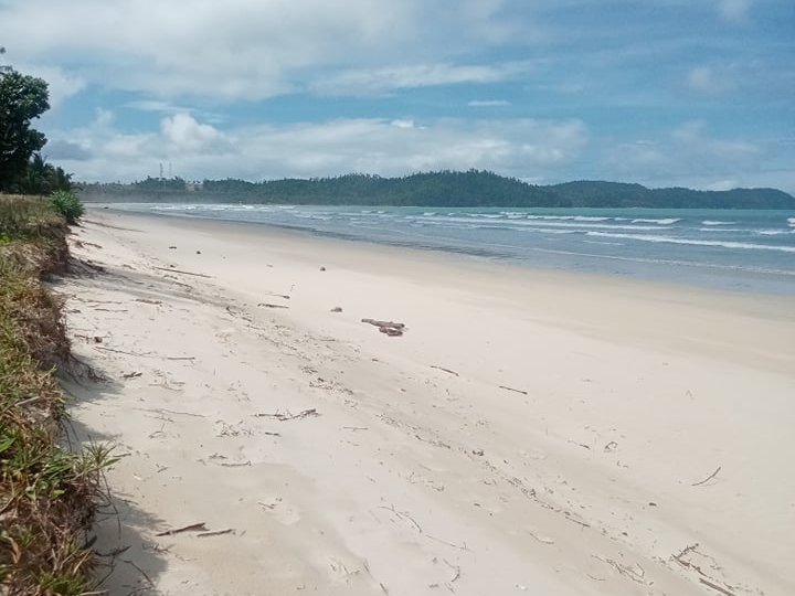 Beach Lot in San, Vicente Palawan