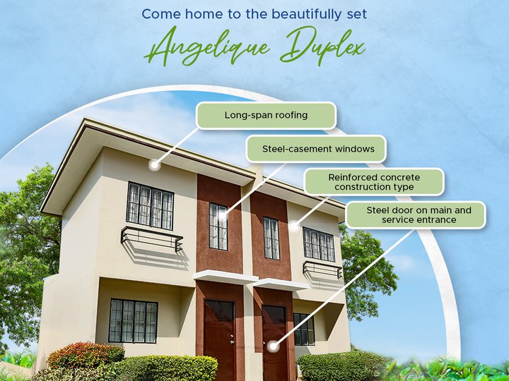 2- bedroom Duplex / Twin House and lot for Sale in Baras Rizal