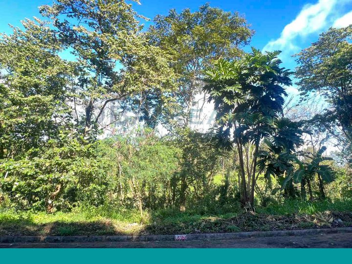 314 sqm Fairway Lot For Sale in Sunvalley Antipolo City