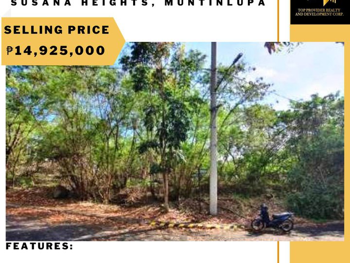 Corner Lot Residential Lot For Sale in Susana Heights, Muntinlupa