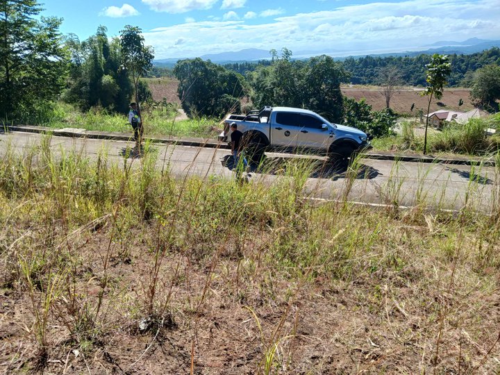 Subdivision Lot For Sale In Antipolo City  Overlooking Ortigas Skyline