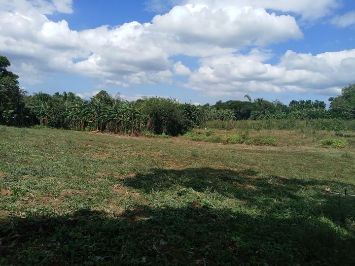 Farm lot in Cavite.