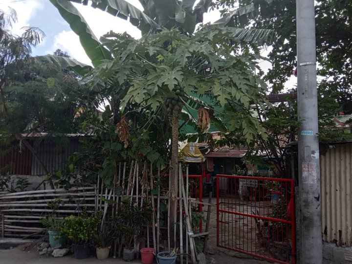 139 sqm Residential Lot For Sale in Paranaque Metro Manila