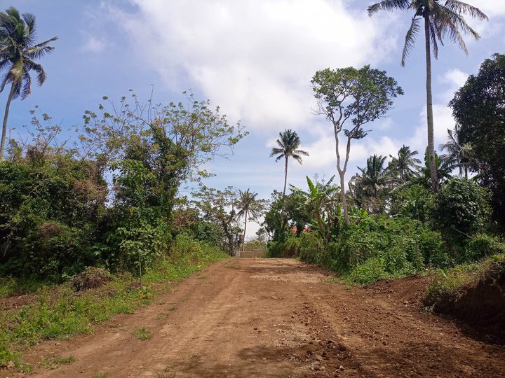 Residential farm lot with 800 meters away from Tagaytay road