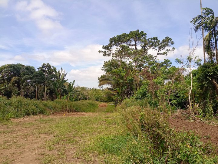 Residential farm lot  with good amenities and near in Tagaytay