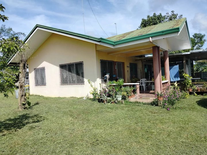 32 hectares farm lot near highway Ubay Bohol 35m negotiable