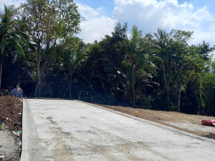 300sqm Ready to use Farm Lot for sale in Indang Cavite