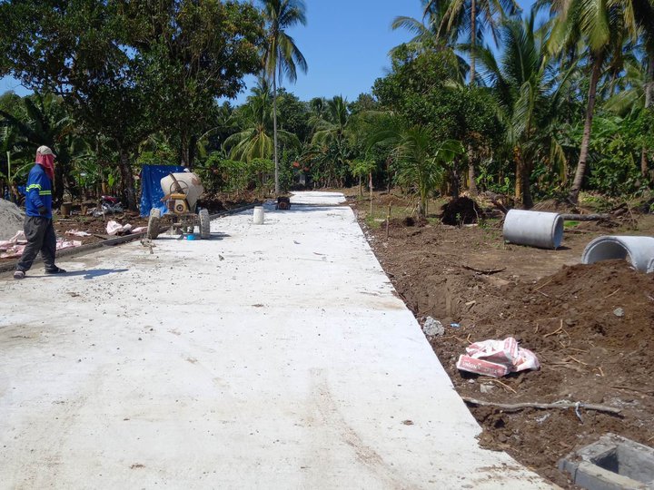 3 years to pay zero interest Farm Lot for sale in Indang Cavite