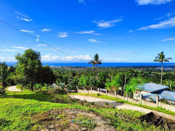 500 sq.m. Residential Farmlot in Ubujan, Tubigon Bohol