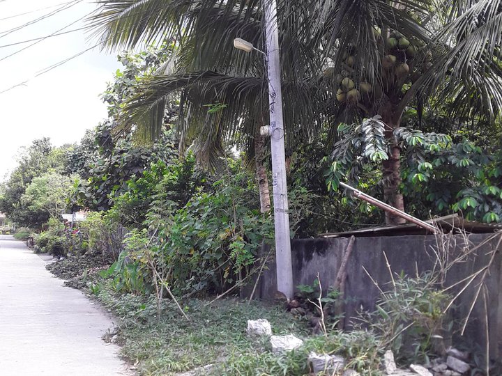 1,788 sqm Residential Lot For Sale Property in Tupi