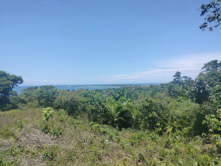 seaview lot near highway and town proper Tubigon Bohol 2.5m negotiable