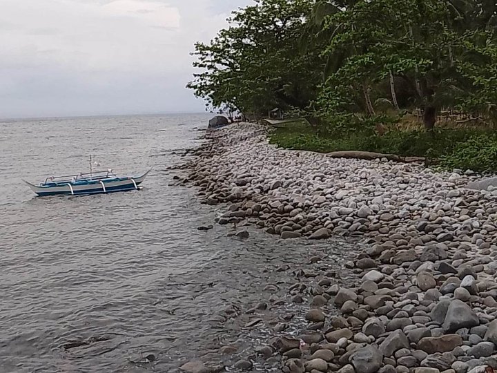 1 Hectare Rocky Beach Property For Sale in San Vicente Palawan