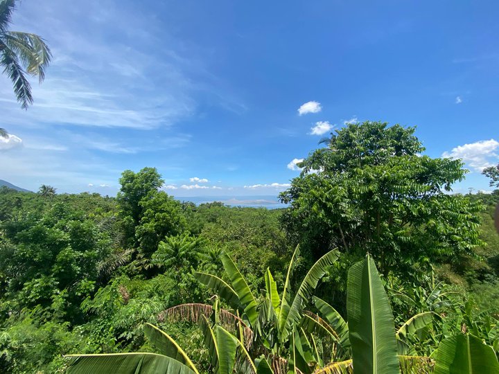 Residential Lot 284 sqm For Sale in Lauan Ridges Lipa Batangas Block 7 Lot 4